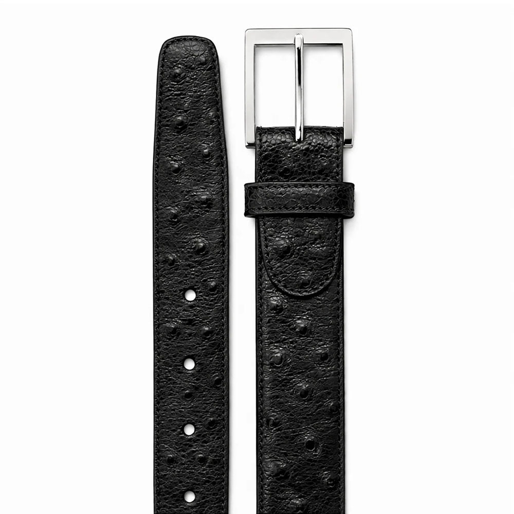 Belvedere Ostrich Quill Belt Black (2001)