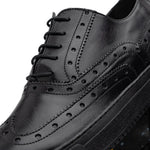 Calzoleria Toscana Q406 Wingtip Sneakers Graphite