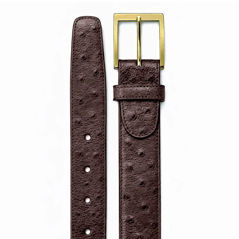 Belvedere Ostrich Quill Belt Brown (2001)