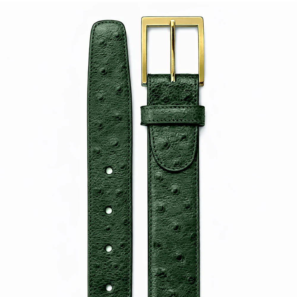 Belvedere Ostrich Quill Belt Forest (2001)