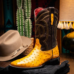 Marco Di Milano Alabama Ostrich Quill Square Toe Cowboy Boot Buttercup