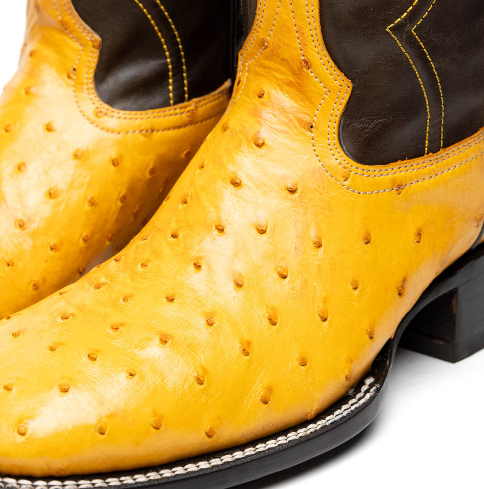 Marco Di Milano Alabama Ostrich Quill Square Toe Cowboy Boot Buttercup