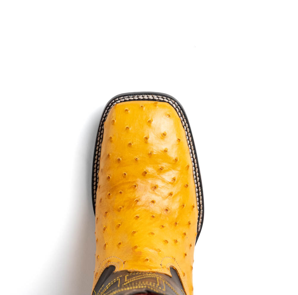 Marco Di Milano Alabama Ostrich Quill Square Toe Cowboy Boot Buttercup