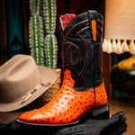 Marco Di Milano Alabama Ostrich Quill Square Toe Cowboy Boot Orange