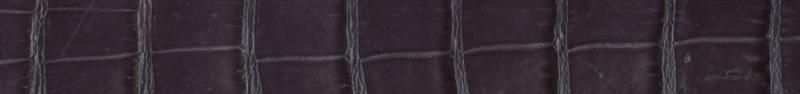 Custom Genuine Alligator Belt