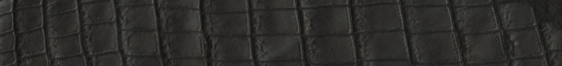 Custom Genuine Alligator Belt