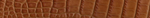 Custom Genuine Alligator Belt
