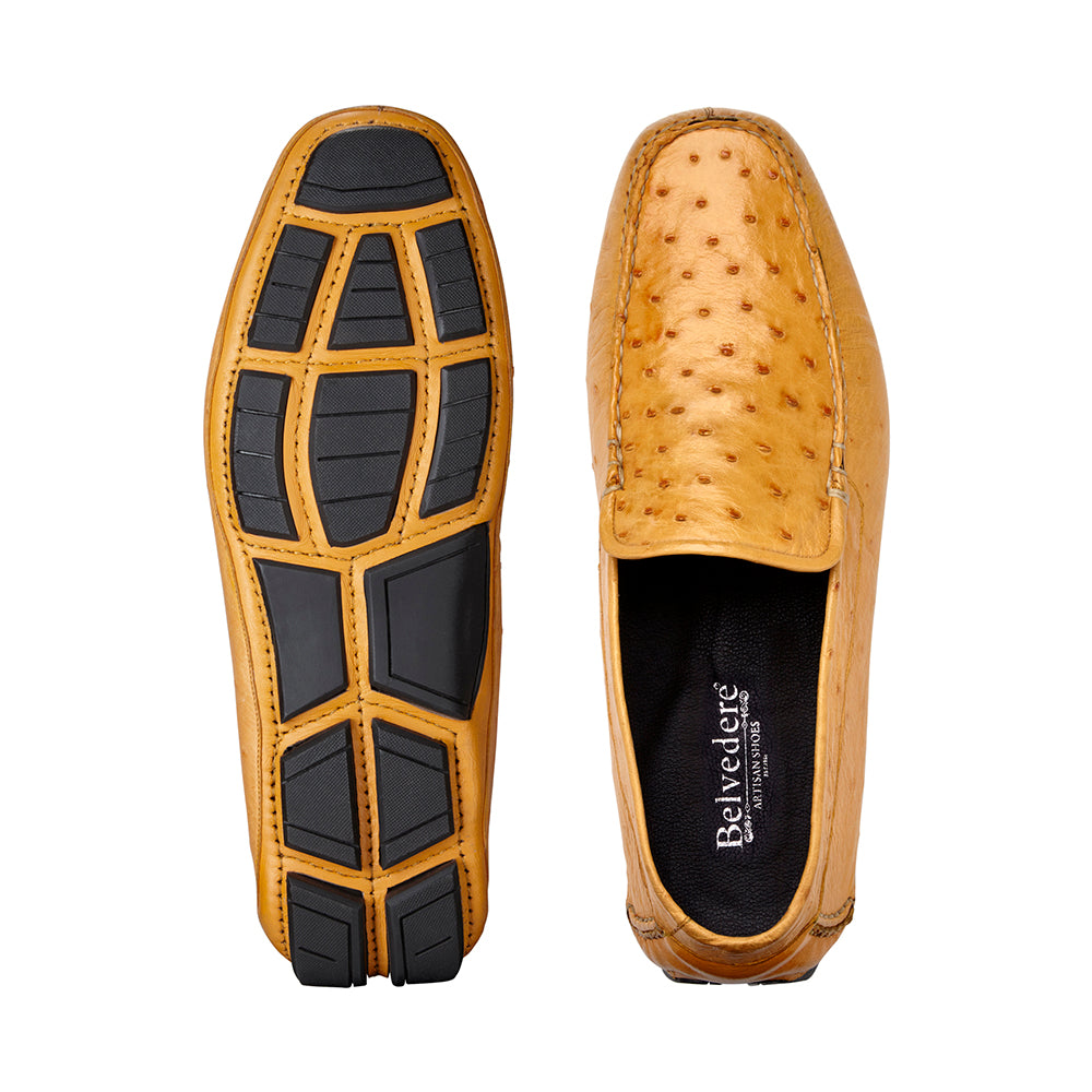 Belvedere Luis Ostrich Shoes Buttercup