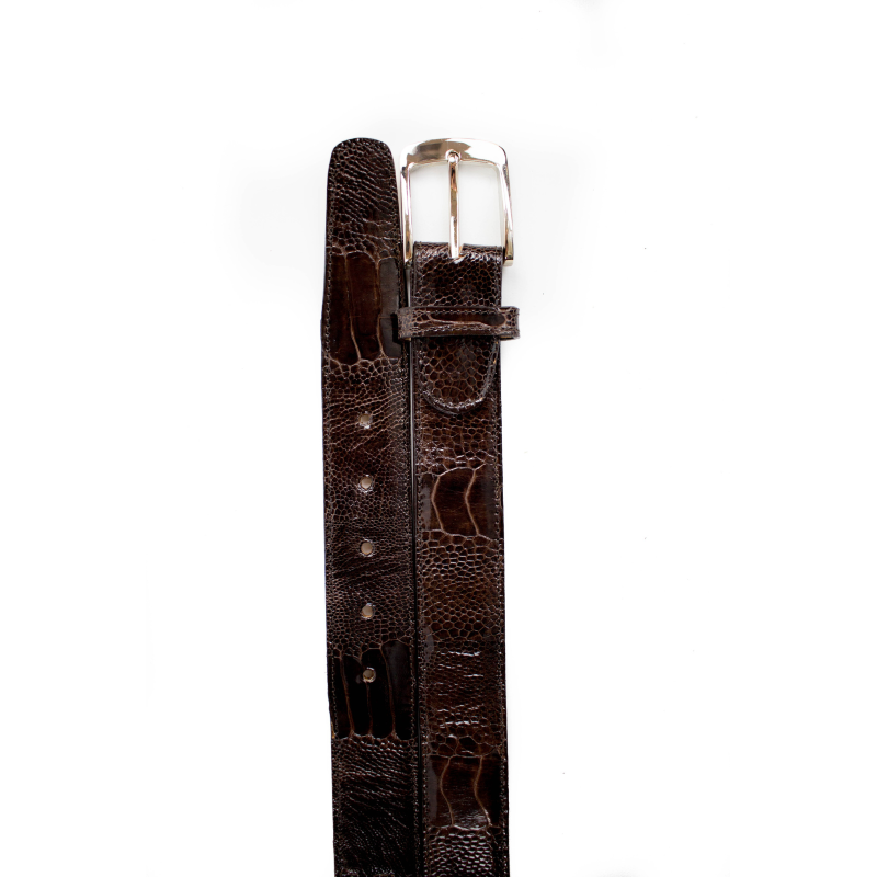 Belvedere Ostrich Leg Belt Chocolate