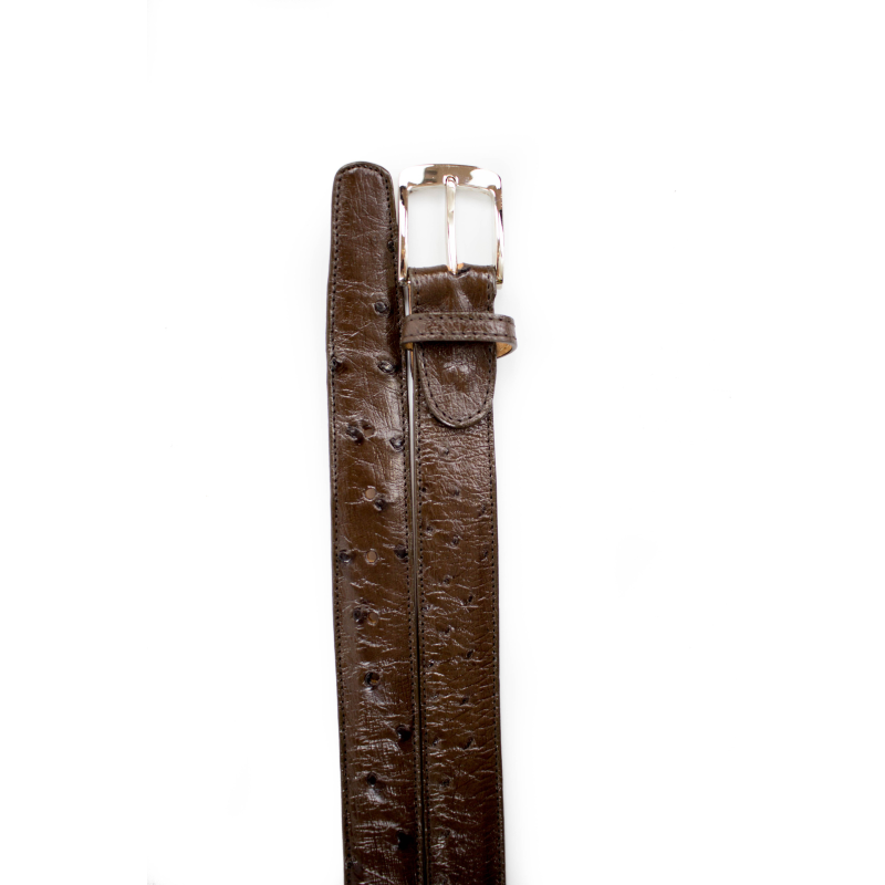 Belvedere Ostrich Quill Belt Brown