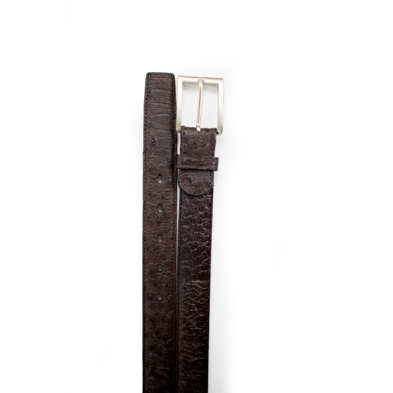 Belvedere Ostrich Quill Belt Dark Brown