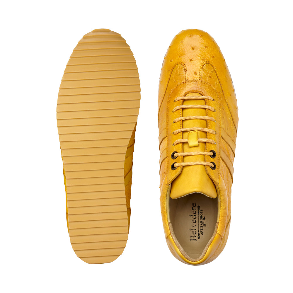 Belvedere Parker Ostrich Leg / Calfskin Sneakers Sunny