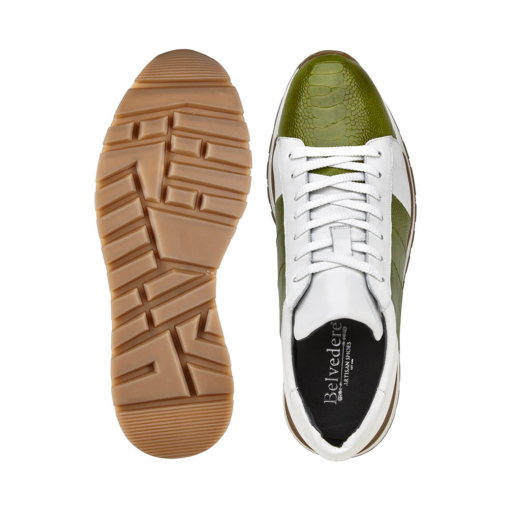 Belvedere Blake Ostrich Sneakers Lime / White (33629)