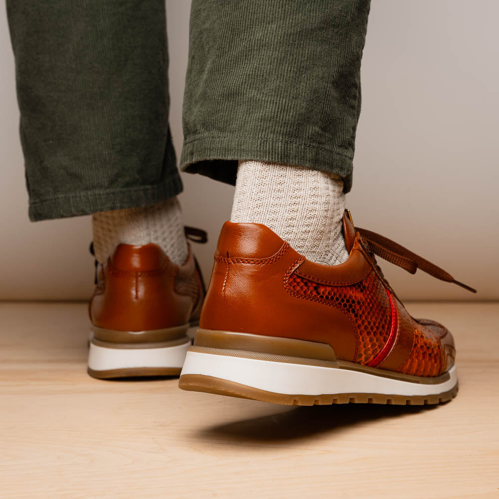 Marco Di Milano Brescia Python & Calfskin Sneakers Honey
