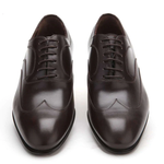 Caporicci 9919 Wingtip Oxfords Brown