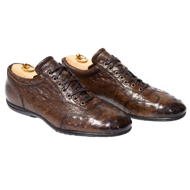 Calzoleria Toscana 7405 Ostrich Quill Sneakers Brown