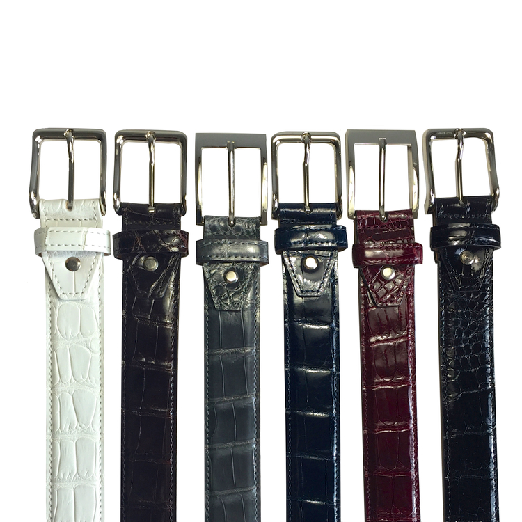 Calzoleria Toscana C8907 Baby Alligator Belts