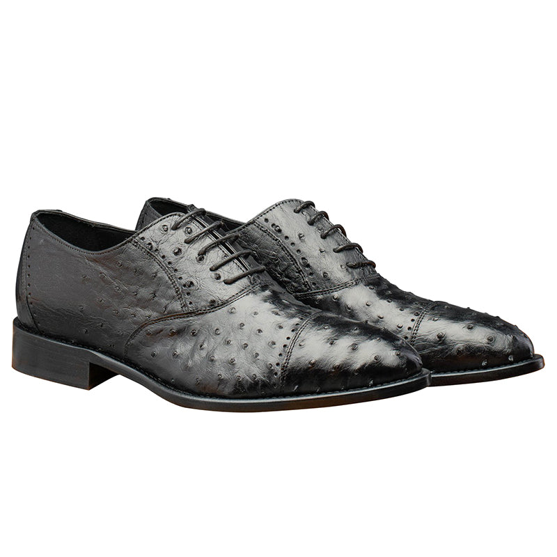 Calzoleria Toscana H777 Ostrich Oxfords Black