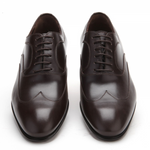 Caporicci 9919 Wingtip Oxfords Brown