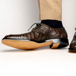 Belvedere Chapo Hornback Lace Up Shoes Brown (1465)