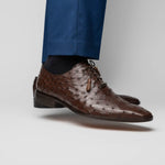 Marco Di Milano Criss Ostrich Quill Dress Oxfords Brown