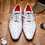 Marco Di Milano Criss Ostrich Quill Dress Oxfords Antique Newspaper