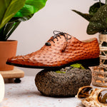 Marco Di Milano Criss Ostrich Quill Dress Oxfords Brandy