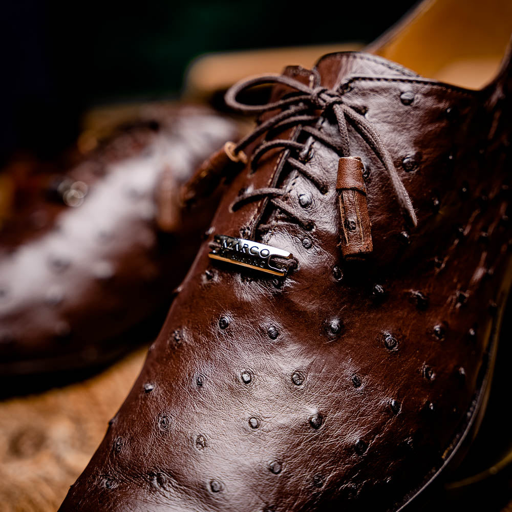 Marco Di Milano Criss Ostrich Quill Dress Oxfords Brown
