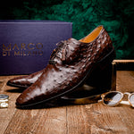 Marco Di Milano Criss Ostrich Quill Dress Oxfords Brown