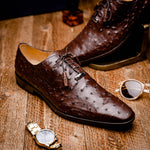 Marco Di Milano Criss Ostrich Quill Dress Oxfords Brown