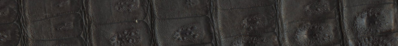 Custom Genuine Crocodile Belt