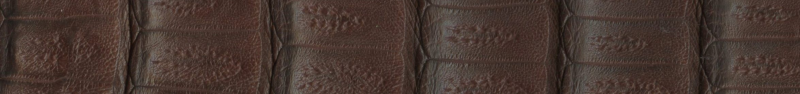 Custom Genuine Crocodile Belt