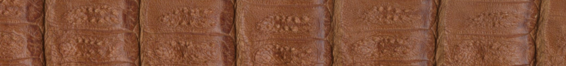 Custom Genuine Crocodile Belt