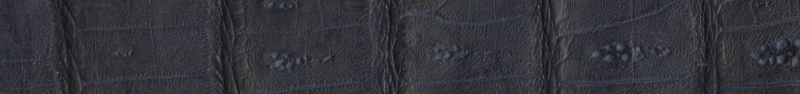 Custom Genuine Crocodile Belt