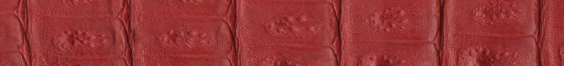 Custom Genuine Crocodile Belt