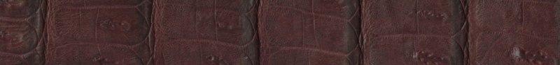 Custom Genuine Crocodile Belt