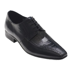 David X Josh Ostrich & Calfskin Bicycle Toe Shoes Navy