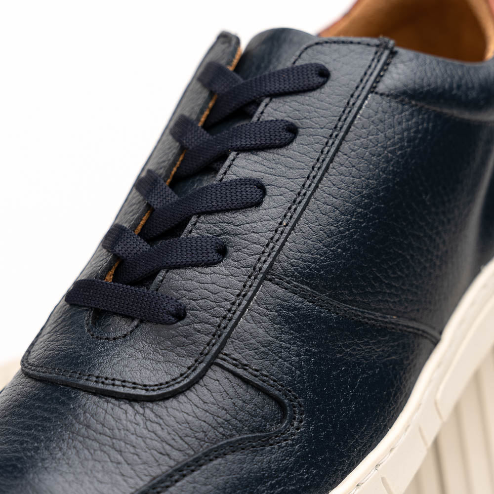 TB Phelps Daytona Sneakers Navy