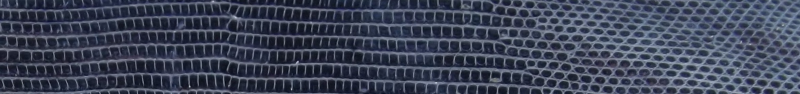 Custom Genuine Lizard Belt