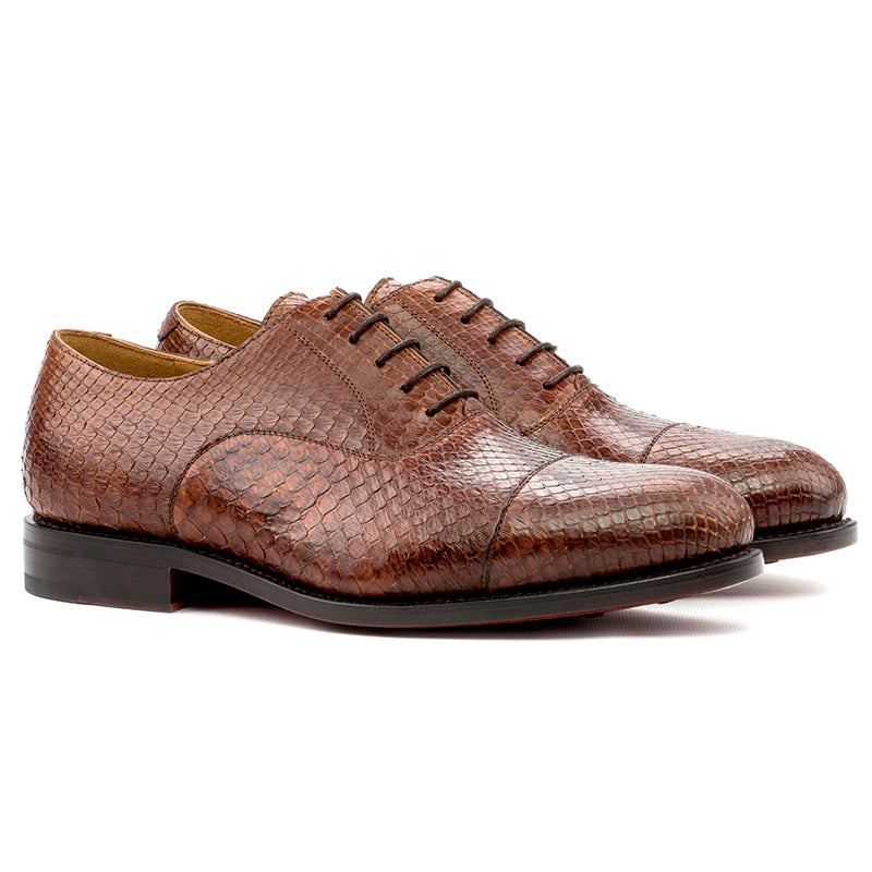 Emanuele Sempre Oxford Python Shoes Med Brown