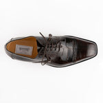 Ferrini 3922 Belly Alligator Cap Toe Shoes Chocolate