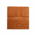 Ferrini AACKCG Full Quill Ostrich Checkbook Cognac
