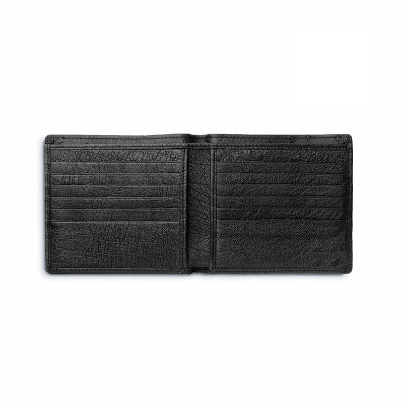 Ferrini AAHPBL Full Quill Ostrich Hipster Black
