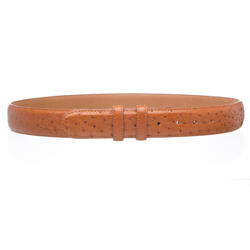 Ferrini Smooth Ostrich Quill Belt Cognac