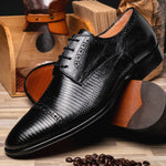 Zelli Giovanni Lizard Cap Toe Brogues Black (24-526-BLK)