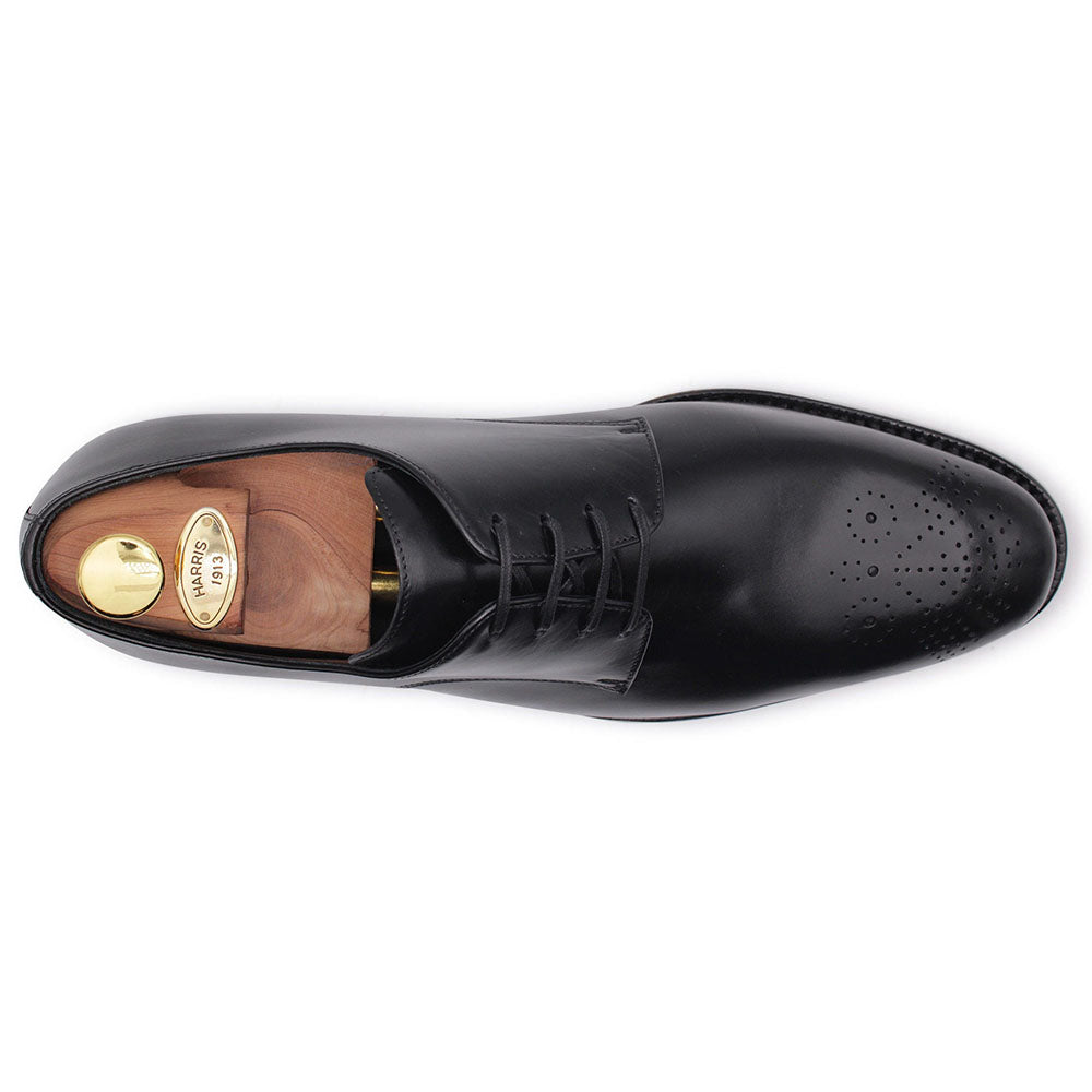 Harris Firenze 1913 Calfskin Leather Derby Shoes Black