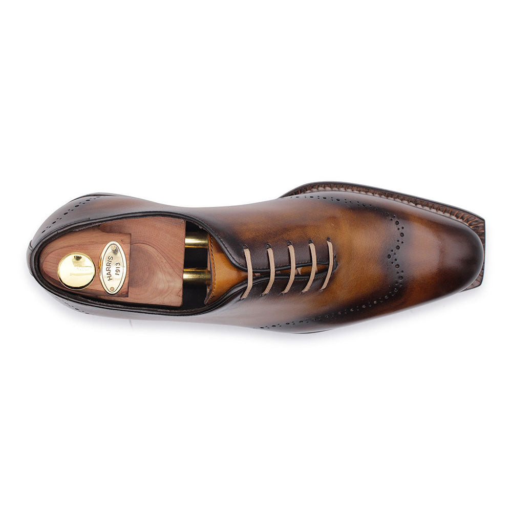 Harris Firenze 1913 Calfskin Shoes Brown