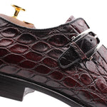Harris Firenze 1913 Genuine Crocodile Buckle Shoes Marrone