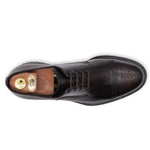 Harris Firenze 1913 Leather Brogue Derby Brown