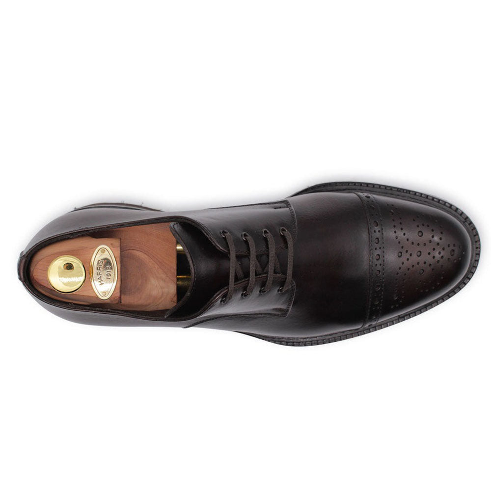 Harris Firenze 1913 Leather Brogue Derby Brown